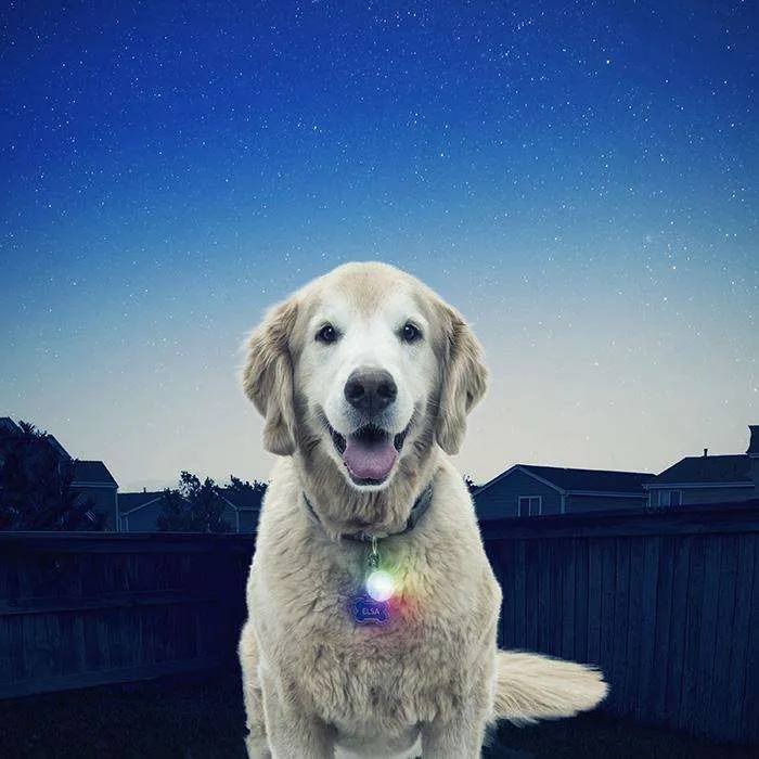 Nite Ize SpotLit Disco Select Pet Light