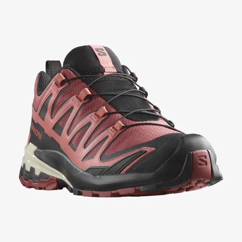 Salomon Women's XA Pro 3D V9 GTX Hiking Shoe