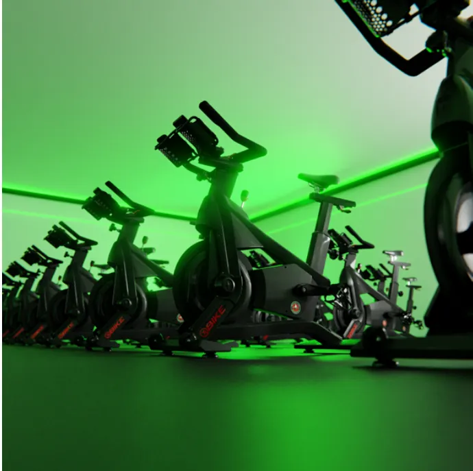 Schwinn  X Bike