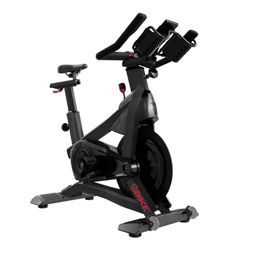 Schwinn  X Bike